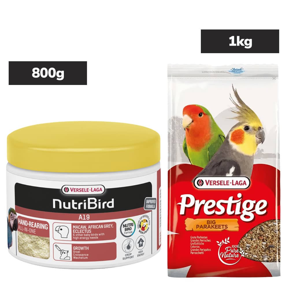 Versele Laga Nutribird A19 Supplement and Prestige Food For Big Parakeets and Birds Combo Birds Versele Laga 800g+1kg